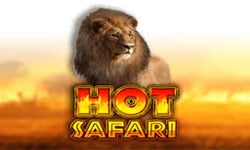 สล็อตHot Safari